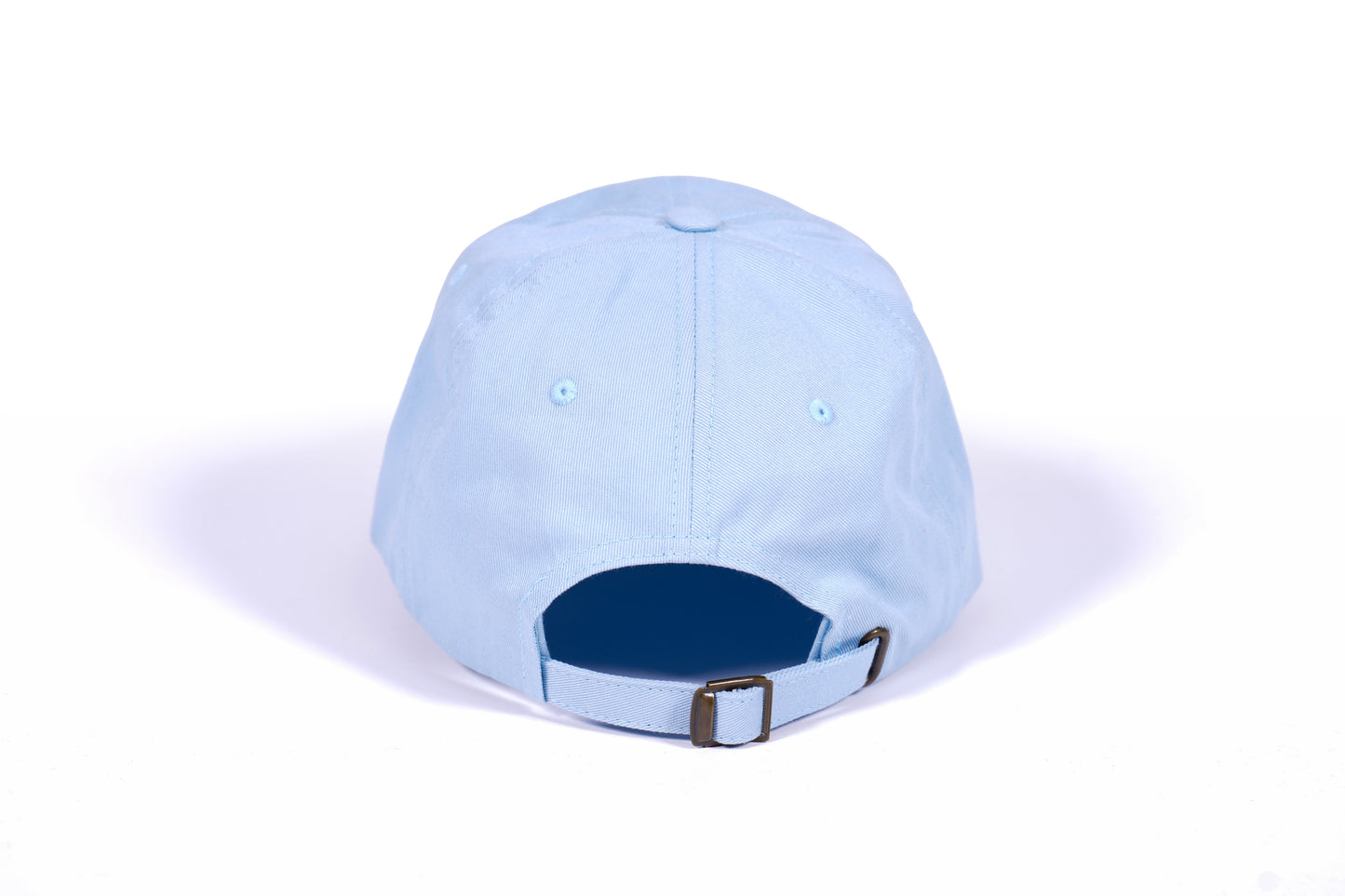 UFC Embroidered Logo Light Blue Dad Hat